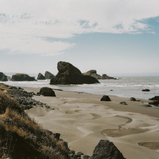 oregon coast and california redwoods // a photographic journal